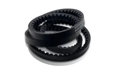 Bestorq Notched Single Belt